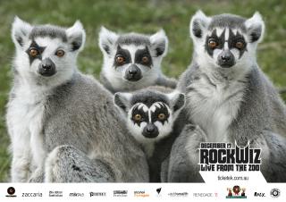 Perth Zoo: Rockwiz